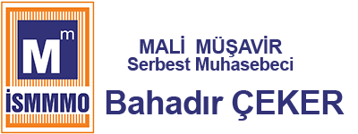 Mali müşavir avcılar istanbul